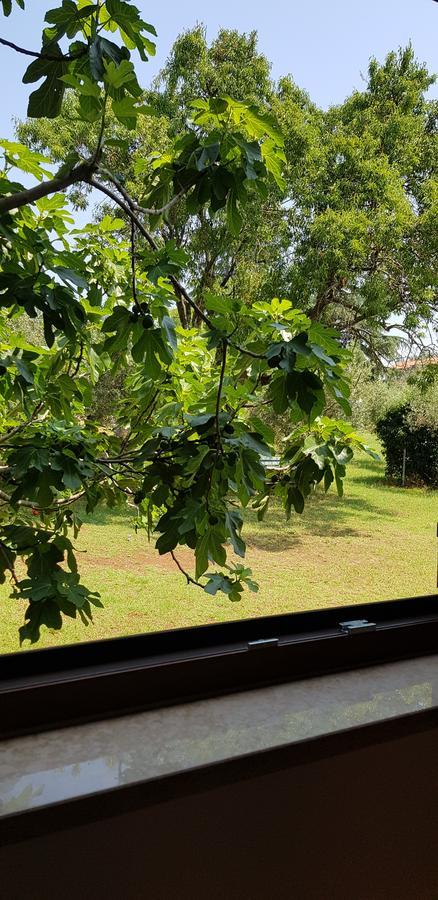 Apartment Nacinovic Poreč Zewnętrze zdjęcie