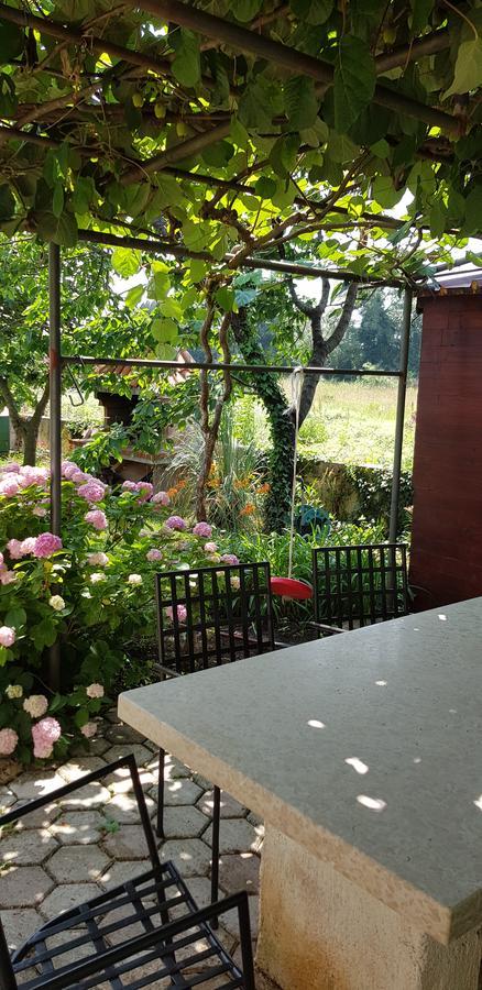 Apartment Nacinovic Poreč Zewnętrze zdjęcie